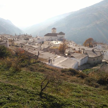 Una Joya En La Alpujarra Bubión Dış mekan fotoğraf